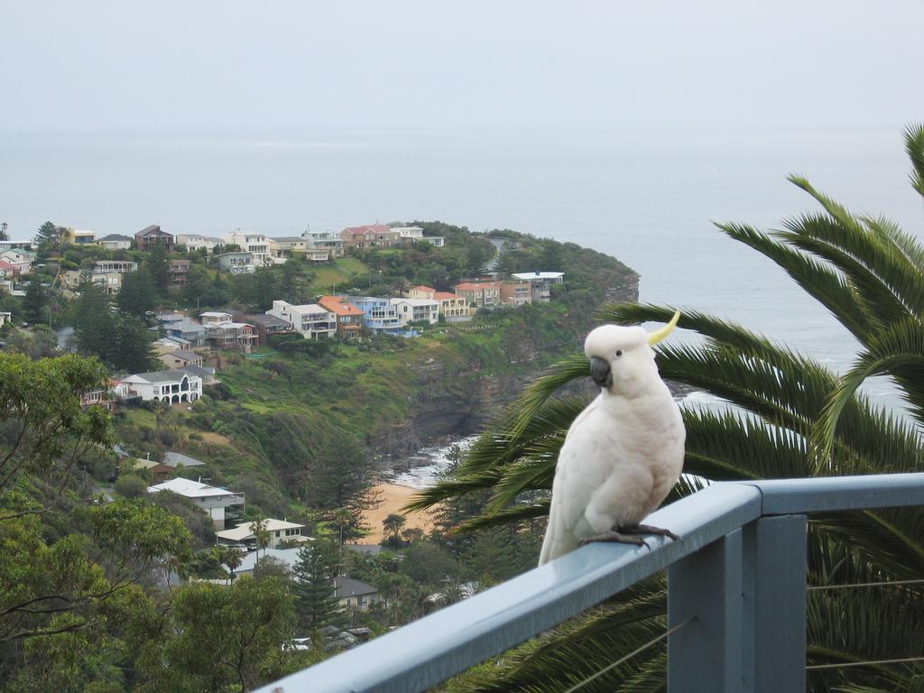 Avalon Horizons Apartment Bilgola Exterior photo